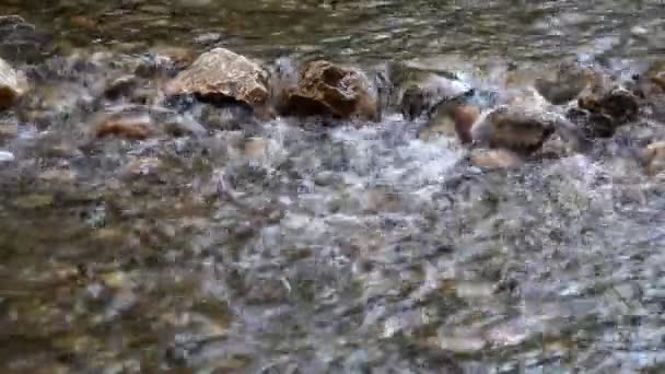 Arroyo de agua dulce — Vídeo de stock