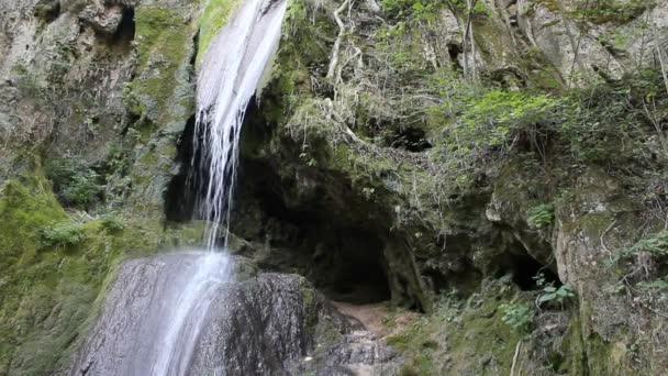 Cascade de montagne 