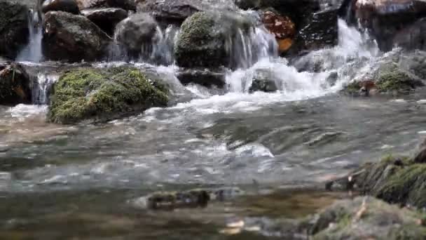 jarní voda přírodní scéna