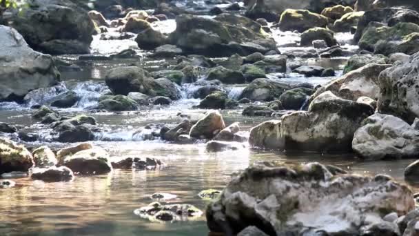 Corriente con piedras escena de la naturaleza — Vídeo de stock