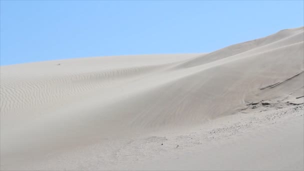 Wind waait door de woestijn — Stockvideo