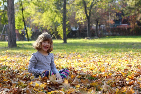 Mutlu küçük kız sonbahar Park — Stok fotoğraf