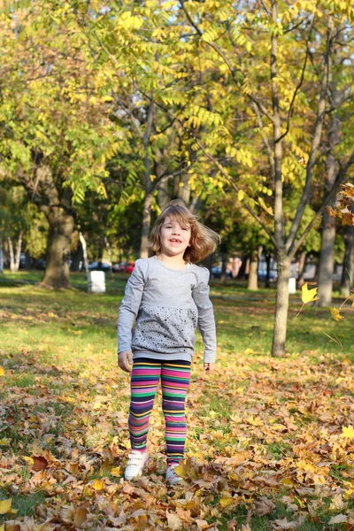 小女孩在秋天的公园里散步 — 图库照片