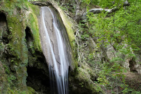 Våren scen skog vattenfall — Stockfoto