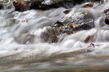 akım Doğa bahar sahnesi