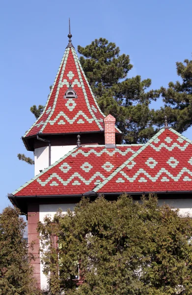 Altes Haus mit buntem Ziegeldach — Stockfoto