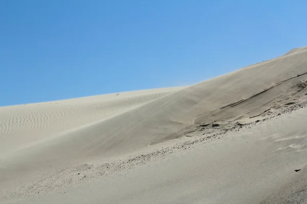 Wind blowing across the desert nature landscape — Stock Photo, Image