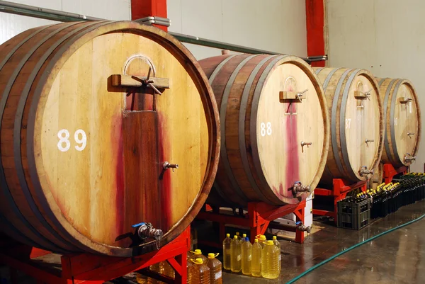 Wine cellar with wooden barrels — Stock Photo, Image