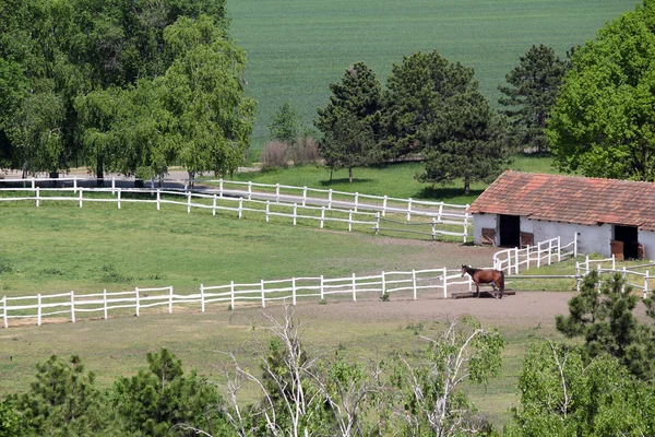 Tarım arazisi ile corral ve at havadan görünümü — Stok fotoğraf