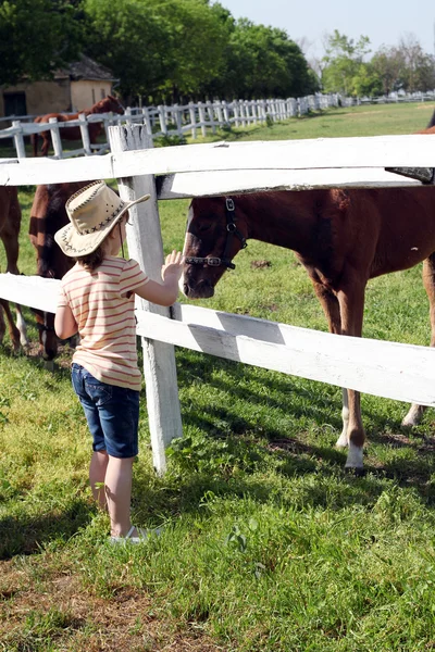 Holčička s koňmi farmě scény — Stock fotografie