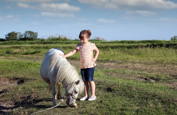Beyaz midilli at ve küçük kız — Stok fotoğraf