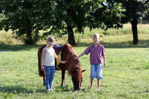 Liten flicka och en pojke med ponny häst — Stockfoto