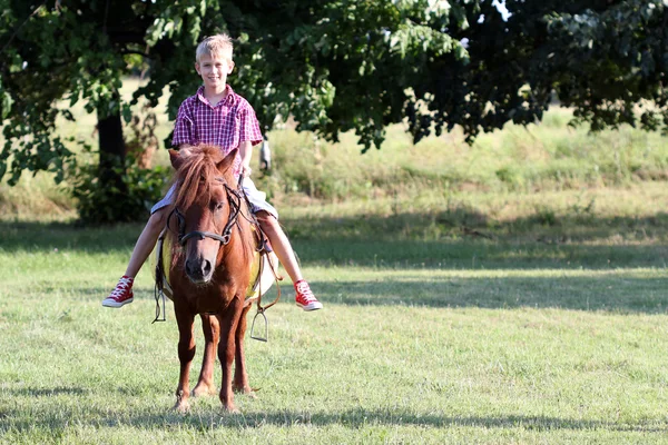 Menino equitação cavalo de pônei no parque — Fotografia de Stock