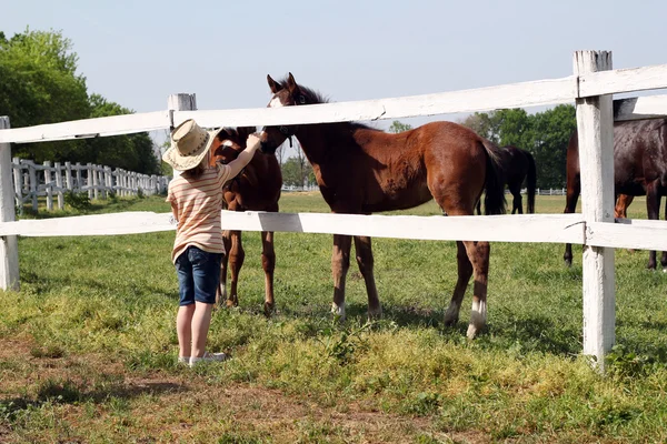 Çocuk ile çiftlikte foals — Stok fotoğraf