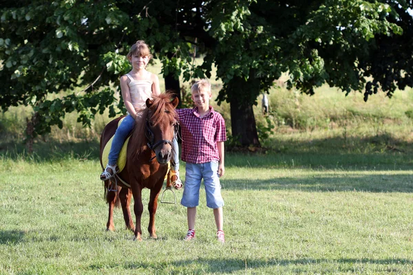 Mutlu küçük kız ve erkek alanda midilli atı ile — Stok fotoğraf