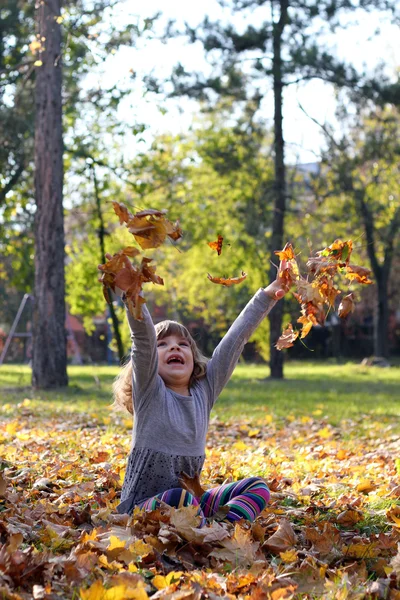 Heureuse petite fille jette des feuilles dans le parc d'automne — Photo