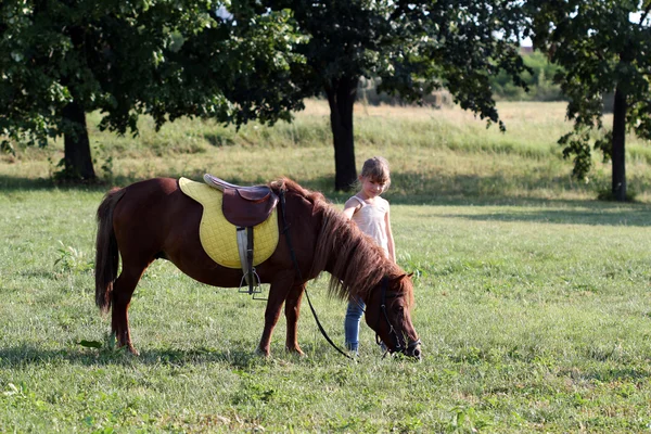 Beautiful little girl and pony horse on field — Stock Photo, Image