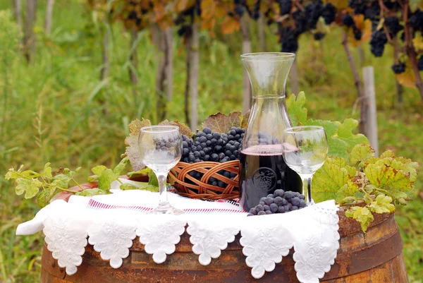 赤ワインとブドウ秋のシーズン — ストック写真