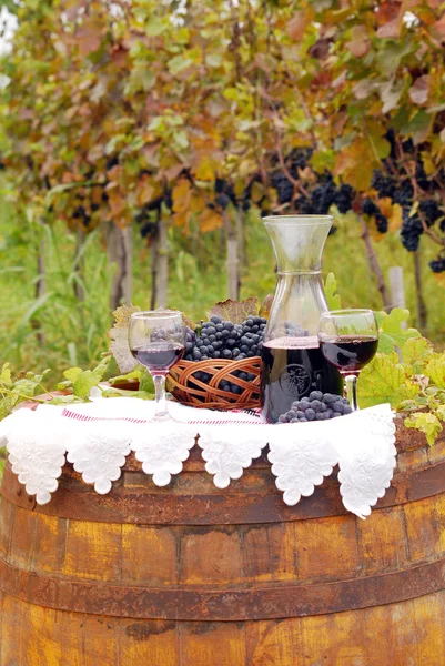 Viñedo con uva y vino tinto —  Fotos de Stock