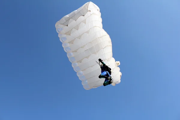 Paraquedistas com paraquedas brancos no céu azul — Fotografia de Stock