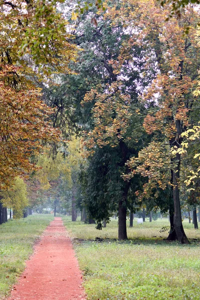 Autumn park with a dirt path — Stock Photo, Image