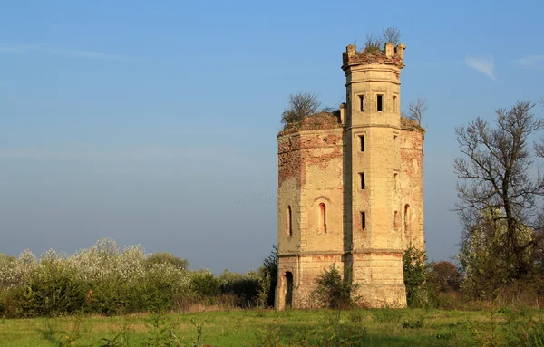 Oude verwoeste kasteel in Servië — Stockfoto