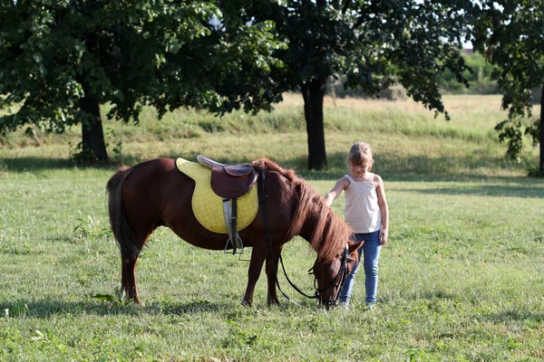 Pony horse and little girl — Stock Photo, Image