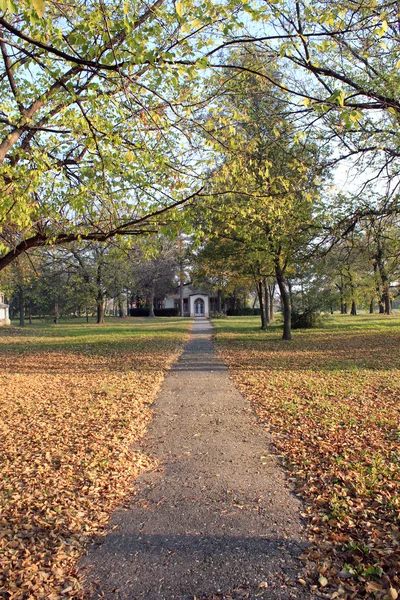 Dom z ścieżki w parku jesień — Zdjęcie stockowe