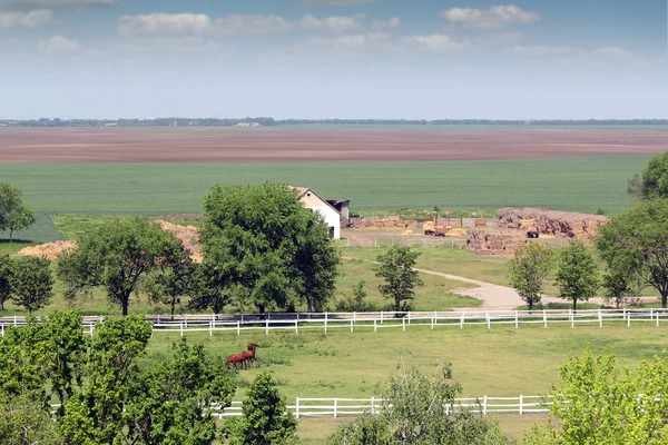 Άλογα στο μαντρί τοπίο καλλιεργήσιμο έδαφος — Φωτογραφία Αρχείου