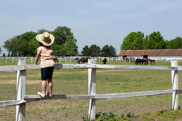 Enfant debout sur le corral et regarder les chevaux à la ferme — Photo