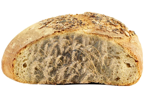 Pane e grano su bianco — Foto Stock