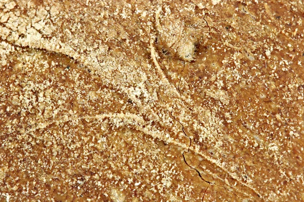 Crust bread close up food background — Stock Photo, Image