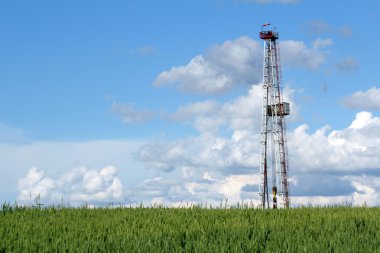 petrol sondaj platformu üzerinde yeşil buğday alanı