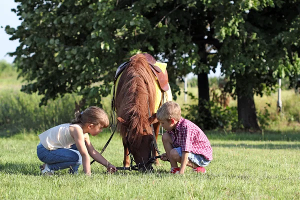 Children play with pony horse pet — Stock Photo, Image