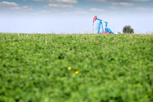 Jack pompa olio su campo verde — Foto Stock