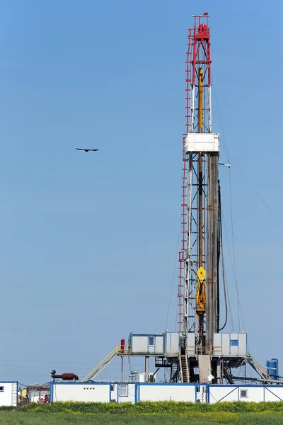 Oil drilling rig on green field — Stock Photo, Image