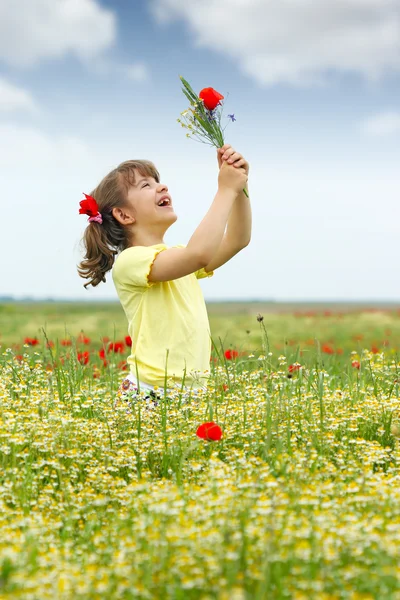 Glad liten tjej på wildflowers äng — Stockfoto