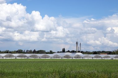 alan tarım Sektöründen seralar