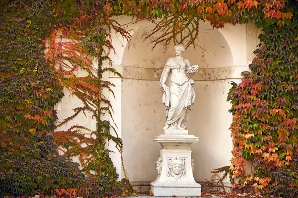 Socha Zeď Popínavou Rostlinou Podzim Vídni — Stock fotografie