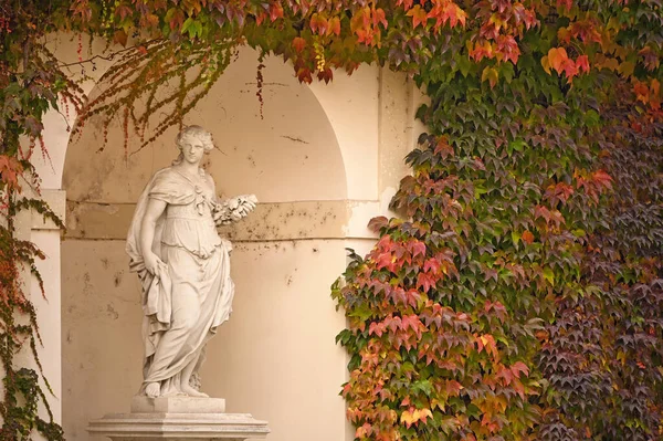 Estatua Pared Con Planta Enredadera Otoño Viena Austria —  Fotos de Stock