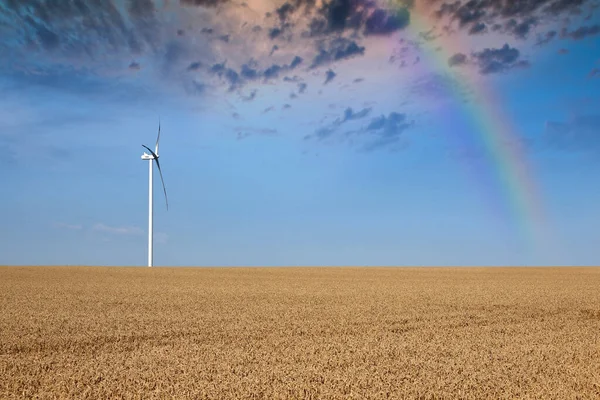 Wind Turbine Wheat Field Rainbow Landscape — Stock Photo, Image