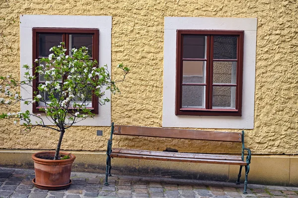 Blühender Baum Und Alte Straße Wien — Stockfoto