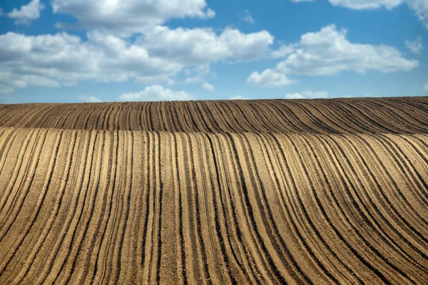 Brown Plowed Field Landscape Agriculture Nature Background — Stok fotoğraf