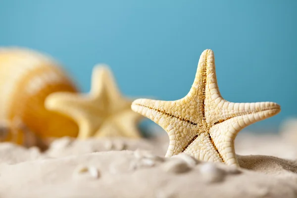 Starfish na areia e fundo azul — Fotografia de Stock