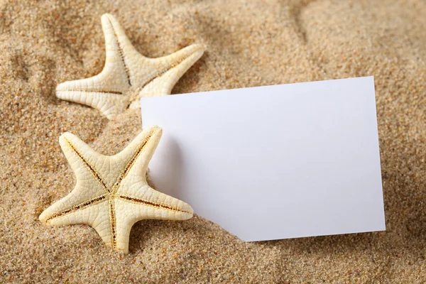 Starfish and blank paper sheet on beach — Stock Photo, Image