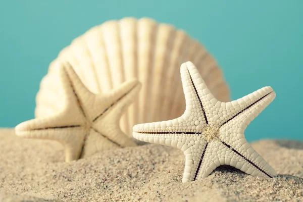 Starfish and seashell on beach — Stock Photo, Image