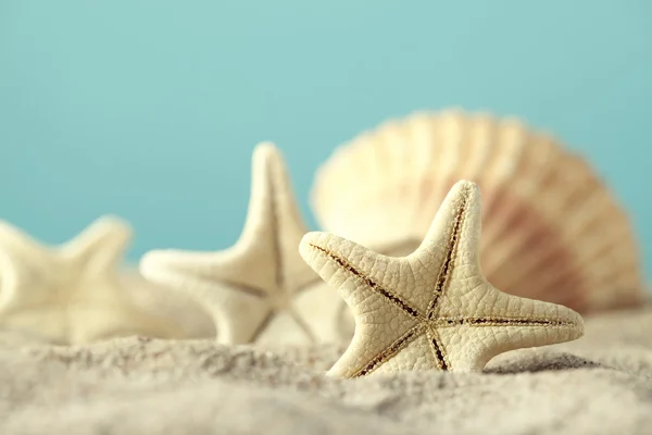 Sjöstjärnor och snäckskal på sand — Stockfoto