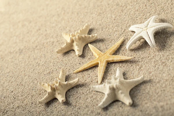 Starfishes na praia — Fotografia de Stock