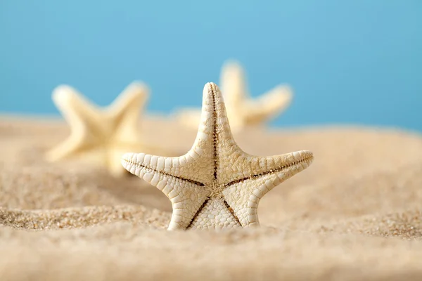 Starfishes in sand beach — Stock Photo, Image