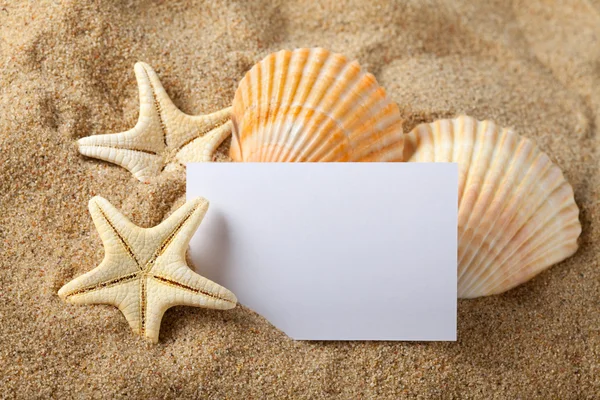 Deniz yıldızı, deniz kabuklarını ve boş kağıt sayfası — Stok fotoğraf